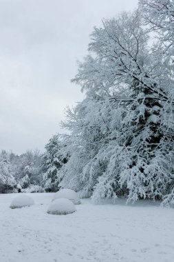 Bulgaristan 'ın Sofya kentindeki South Park manzarası şaşırtıcı.