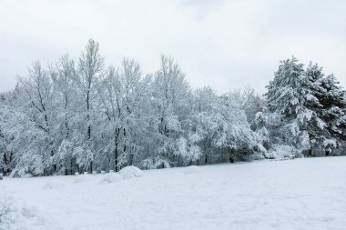 Bulgaristan 'ın Sofya kentindeki South Park manzarası şaşırtıcı.