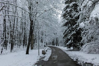 Bulgaristan 'ın Sofya kentindeki South Park manzarası şaşırtıcı.