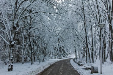 Bulgaristan 'ın Sofya kentindeki South Park manzarası şaşırtıcı.
