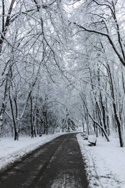 Bulgaristan 'ın Sofya kentindeki South Park manzarası şaşırtıcı.