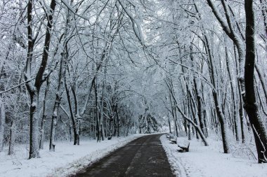Bulgaristan 'ın Sofya kentindeki South Park manzarası şaşırtıcı.