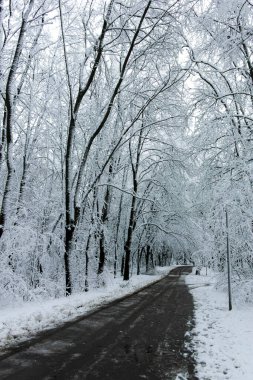 Bulgaristan 'ın Sofya kentindeki South Park manzarası şaşırtıcı.