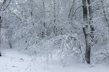 Bulgaristan 'ın Sofya kentindeki South Park manzarası şaşırtıcı.