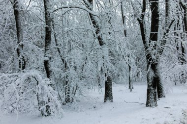 Bulgaristan 'ın Sofya kentindeki South Park manzarası şaşırtıcı.