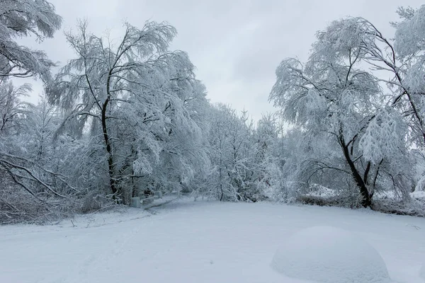保加利亚索菲亚市南部公园冬季全景壮观 — 图库照片
