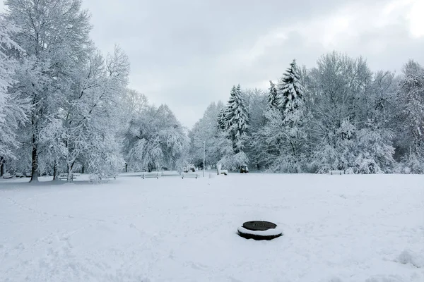 Fantastisk Vinter Utsikt Över South Park Staden Sofia Bulgarien — Stockfoto