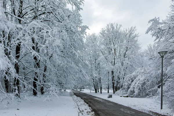 Fantastisk Vinter Utsikt Över South Park Staden Sofia Bulgarien — Stockfoto