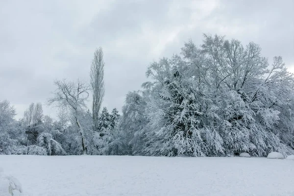 Panorama Incrível Vista Inverno South Park Cidade Sofia Bulgária — Fotografia de Stock