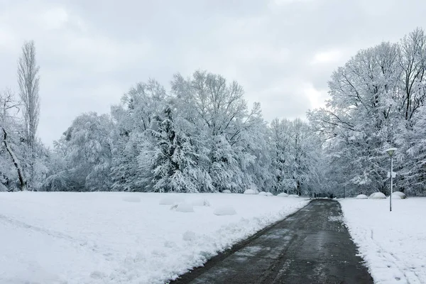 Fantastisk Vinter Utsikt Över South Park Staden Sofia Bulgarien — Stockfoto