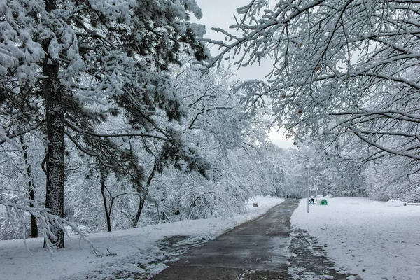 Fantastisk Vinter Utsikt Över South Park Staden Sofia Bulgarien — Stockfoto