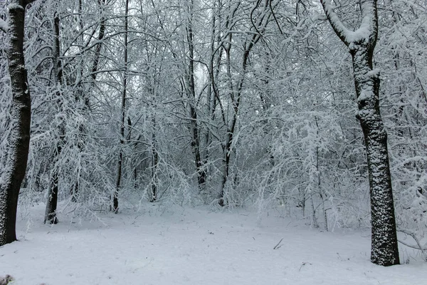 Panorama Incrível Vista Inverno South Park Cidade Sofia Bulgária — Fotografia de Stock