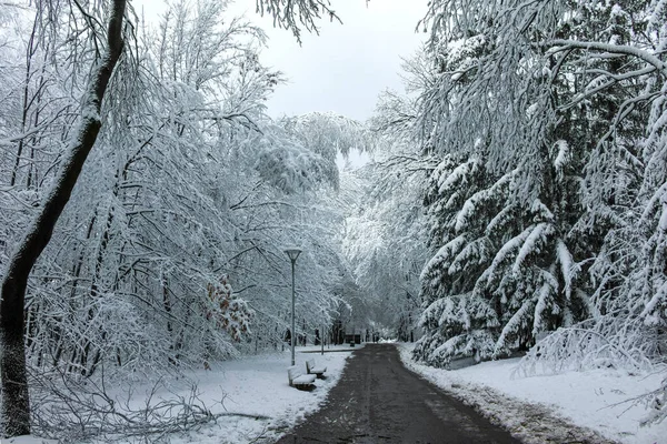 Amazing Winter Panorama Van South Park Stad Sofia Bulgarije — Stockfoto