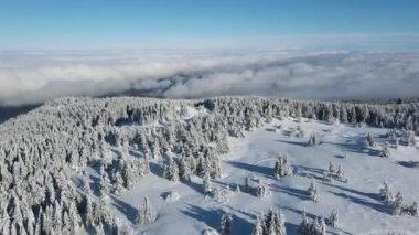Bulgaristan 'ın Sofya Şehir Bölgesi, Vitosha Dağı' nın Hava Kış Manzarası