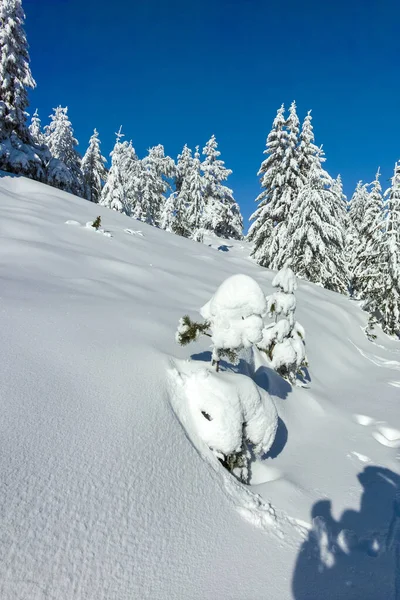 Incredibile Paesaggio Invernale Della Montagna Vitosha Sofia City Region Bulgaria — Foto Stock