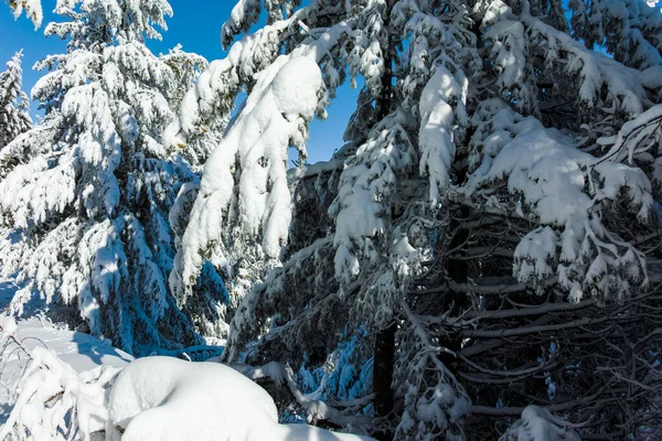 保加利亚索菲亚市维多沙山冬季奇景 — 图库照片