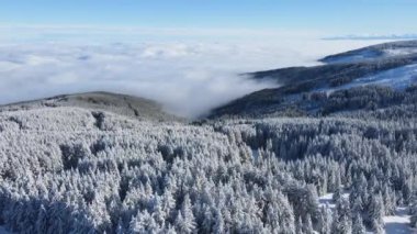 Bulgaristan 'ın Sofya Şehir Bölgesi, Vitosha Dağı' nın Hava Kış Manzarası