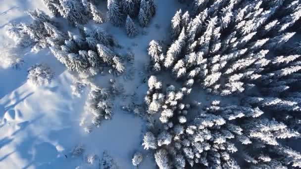 Pemandangan Musim Dingin Udara Gunung Vitosha Wilayah Kota Sofia Bulgaria — Stok Video