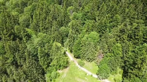 Vista Aérea Montaña Rila Cerca Kirilova Polyana Prado Cyril Región — Vídeos de Stock