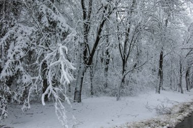 Bulgaristan 'ın Sofya kentindeki South Park' ın şaşırtıcı kış manzarası