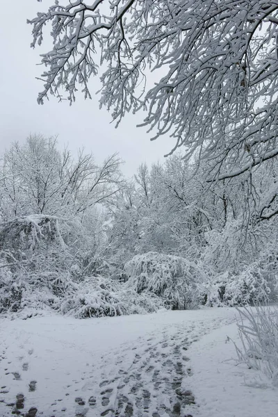 Paisagem Inverno Incrível South Park Cidade Sofia Bulgária — Fotografia de Stock