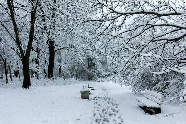 Amazing Winter Landscape South Park City Sofia Bulgaria — Stock Photo, Image
