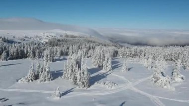 Bulgaristan 'ın Sofya Şehir Bölgesi, Vitosha Dağı' nın Hava Kış Manzarası