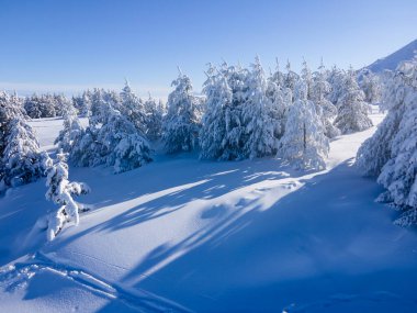 Bulgaristan 'ın Sofya Şehir Bölgesi, Vitosha Dağı' nın Hava Kış Manzarası