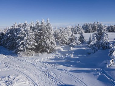 Bulgaristan 'ın Sofya Şehir Bölgesi, Vitosha Dağı' nın Hava Kış Manzarası