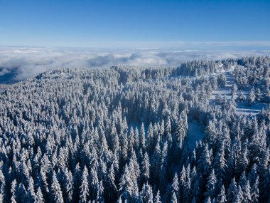 Bulgaristan 'ın Sofya Şehir Bölgesi, Vitosha Dağı' nın Hava Kış Manzarası