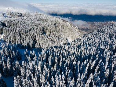 Bulgaristan 'ın Sofya Şehir Bölgesi, Vitosha Dağı' nın Hava Kış Manzarası