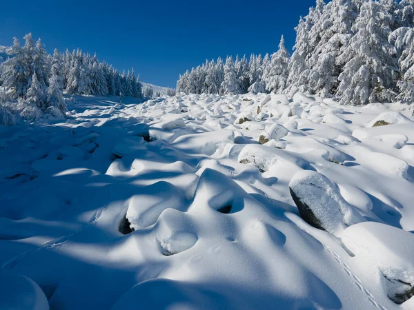 Bulgaristan Sofya Şehir Bölgesi Vitosha Dağı Nın Hava Kış Manzarası — Stok fotoğraf