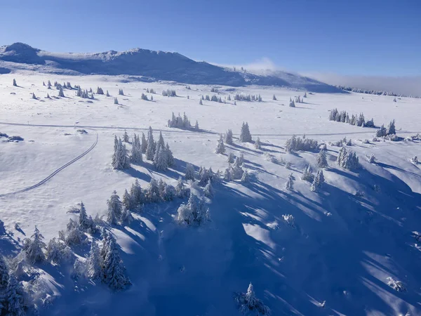 Zimowy Widok Lotu Ptaka Górę Vitosha Obwód Sofijski Bułgaria — Zdjęcie stockowe