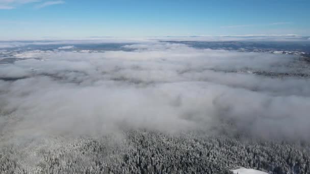 Pemandangan Musim Dingin Udara Gunung Rila Dekat Resor Ski Borovets — Stok Video