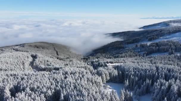 Aerial Winter View Vitosha Mountain Περιφέρεια Πόλης Της Σόφιας Βουλγαρία — Αρχείο Βίντεο