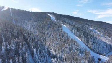 Bulgaristan 'ın Sofya Bölgesi' ndeki Borovets kayak merkezi yakınlarındaki Rila Dağı 'nın kış manzarası