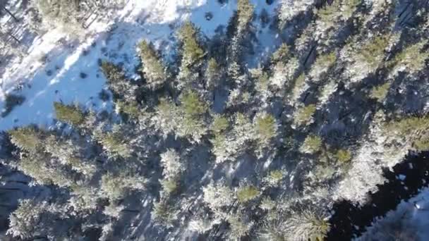 Aerial Téli Kilátás Rila Mountain Közelében Beli Iskar Folyó Szófia — Stock videók