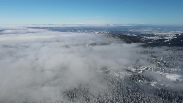 Vista Aérea Invierno Montaña Rila Cerca Estación Esquí Borovets Región — Vídeos de Stock