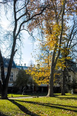 SOFYA, BULGARIA - 11 Kasım 2021: Bulgaristan 'ın Sofya kentinin şaşırtıcı sonbahar manzarası