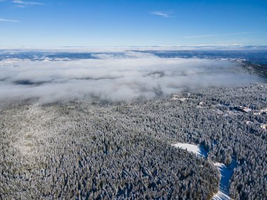 Bulgaristan 'ın Sofya Bölgesi' ndeki Borovets kayak merkezi yakınlarındaki Rila Dağı 'nın kış manzarası