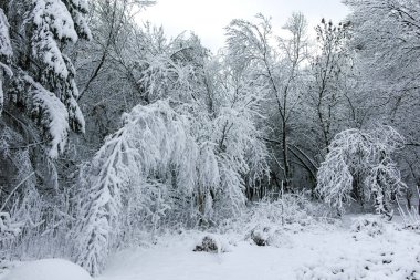 Bulgaristan 'ın Sofya kentindeki South Park manzarası şaşırtıcı.