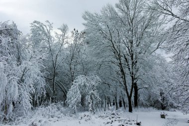 Bulgaristan 'ın Sofya kentindeki South Park manzarası şaşırtıcı.