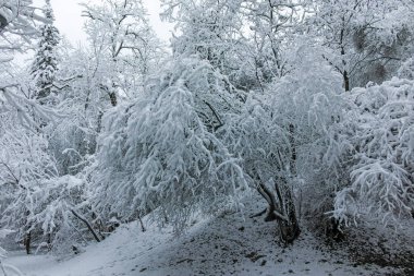 Bulgaristan 'ın Sofya kentindeki South Park manzarası şaşırtıcı.