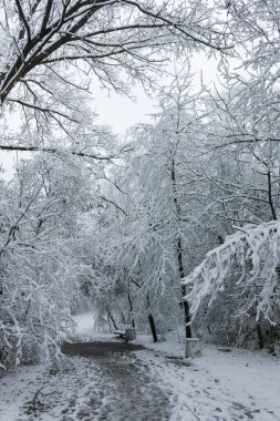 Bulgaristan 'ın Sofya kentindeki South Park manzarası şaşırtıcı.