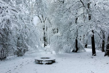 Bulgaristan 'ın Sofya kentindeki South Park manzarası şaşırtıcı.