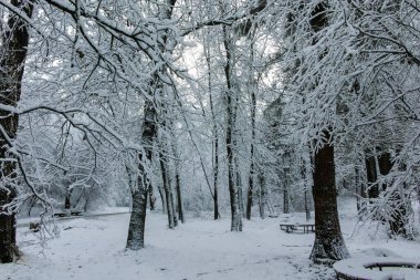 Bulgaristan 'ın Sofya kentindeki South Park manzarası şaşırtıcı.