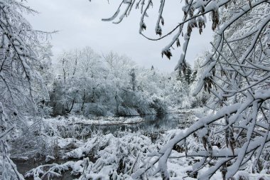 Bulgaristan 'ın Sofya kentindeki South Park manzarası şaşırtıcı.