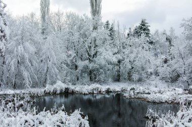 Bulgaristan 'ın Sofya kentindeki South Park manzarası şaşırtıcı.