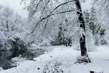 Bulgaristan 'ın Sofya kentindeki South Park manzarası şaşırtıcı.