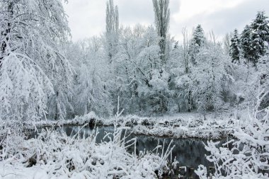 Bulgaristan 'ın Sofya kentindeki South Park manzarası şaşırtıcı.